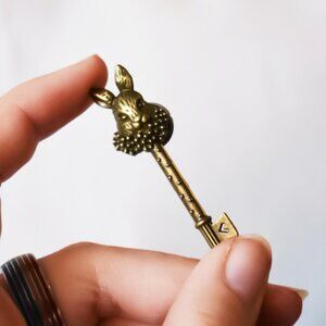 Bronze Rabbit Key Brooch Pin